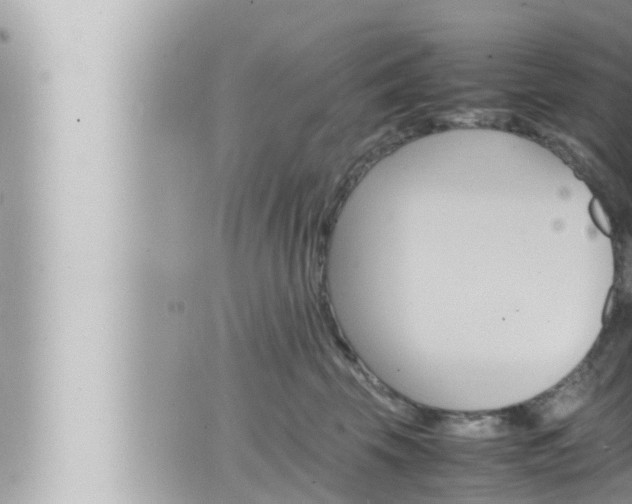 X0000066520569200603170953