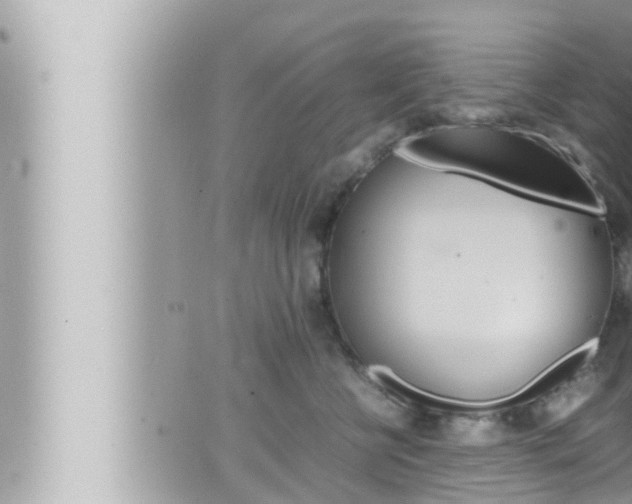 X0000066520570200603170953