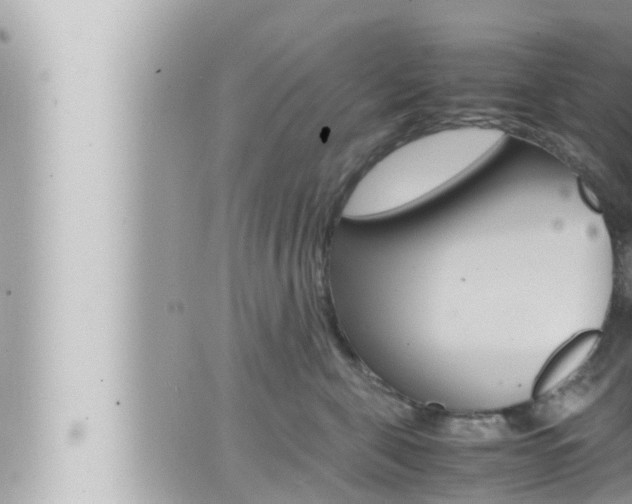 X0000066520571200603170953