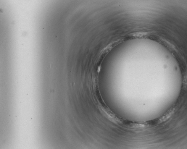 X0000066520572200603170953