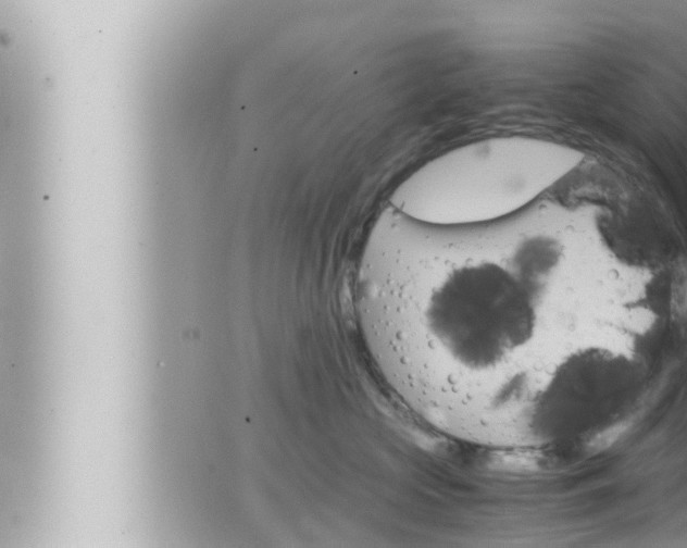 X0000066520573200603170953