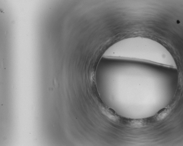 X0000066520574200603170953