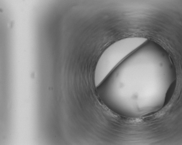 X0000066520576200603170953