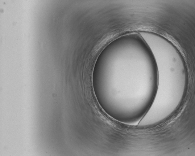 X0000066520577200603170952