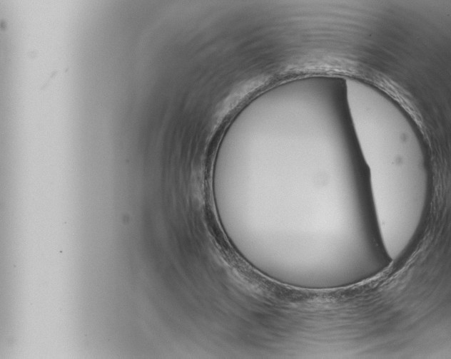 X0000066520578200603170952