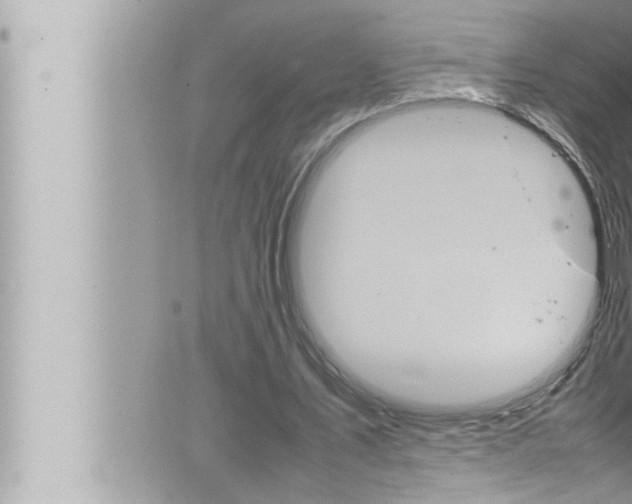 X0000066520579200603170952