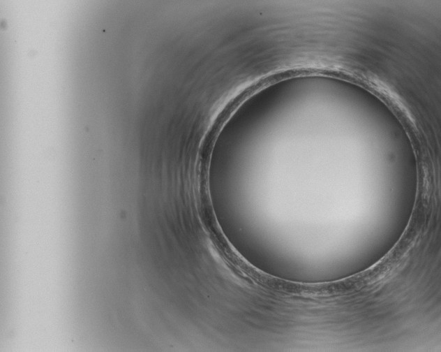 X0000066520580200603170952