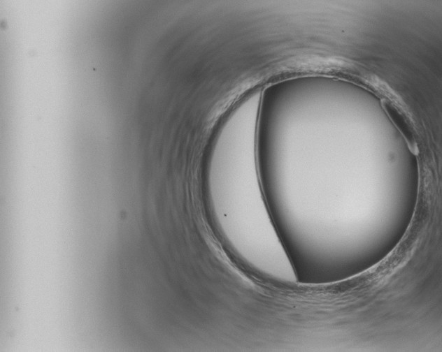 X0000066520581200603170952