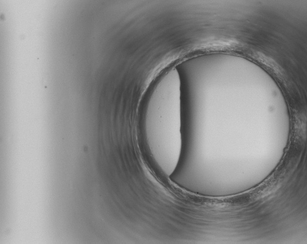 X0000066520582200603170952