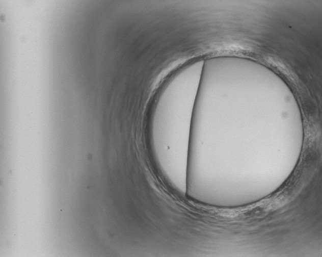 X0000066520583200603170952