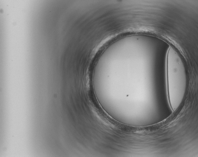 X0000066520584200603170952