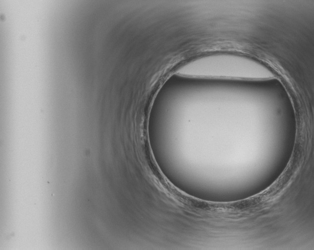 X0000066520585200603170952