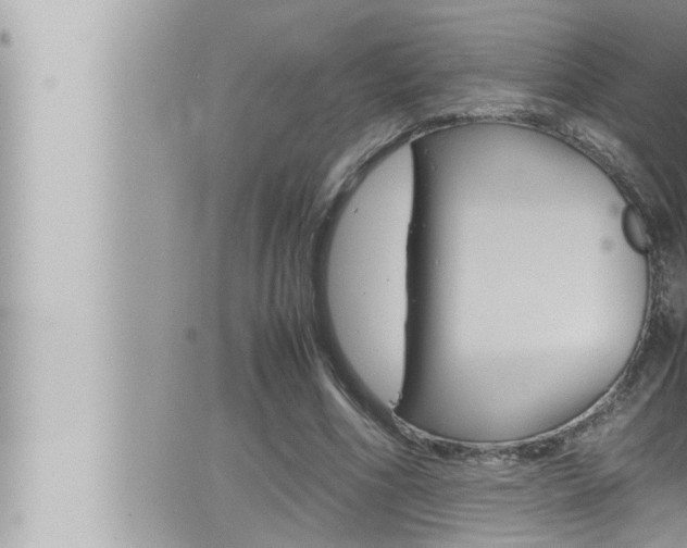 X0000066520586200603170952