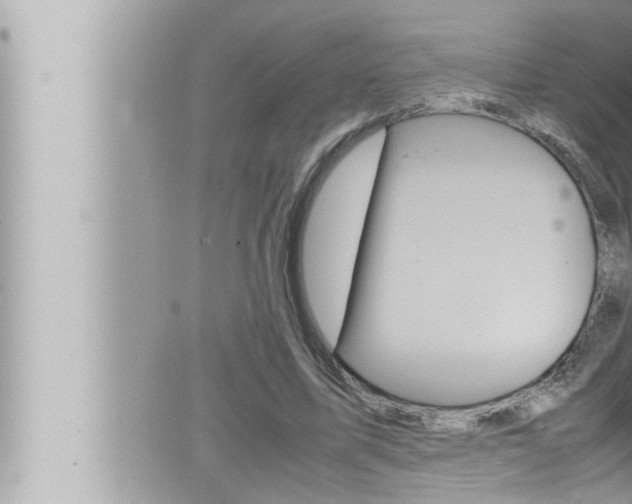 X0000066520587200603170952