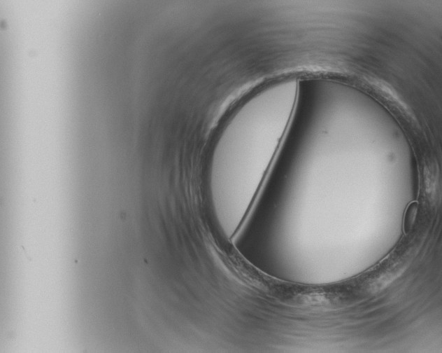 X0000066520588200603170952