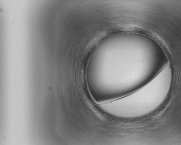 X0000066520589200603170952