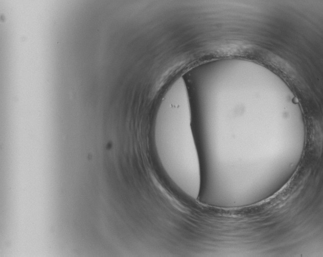 X0000066520590200603170952