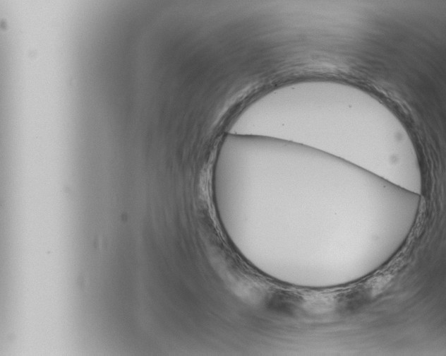 X0000066520591200603170952