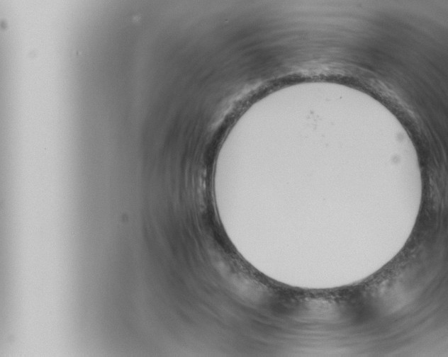 X0000066520592200603170952