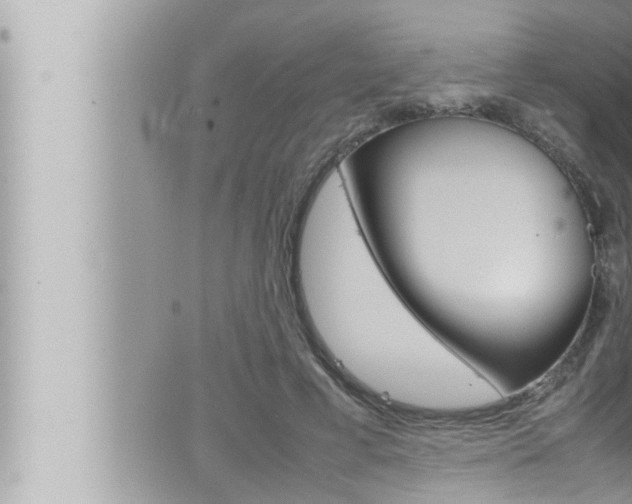 X0000066520593200603170952