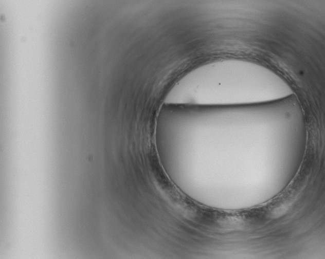 X0000066520594200603170952