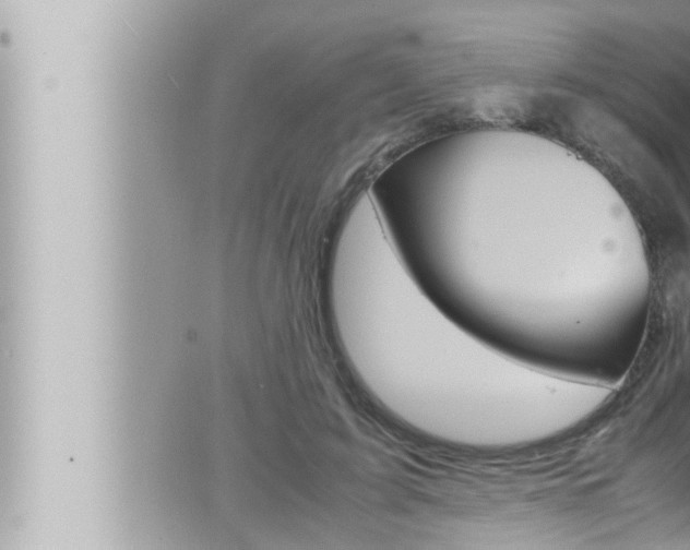 X0000066520595200603170952