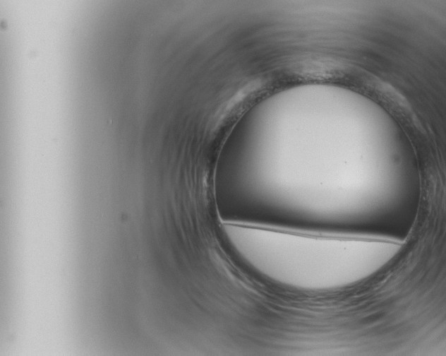 X0000066520596200603170952