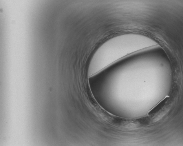 X0000066520597200603170952