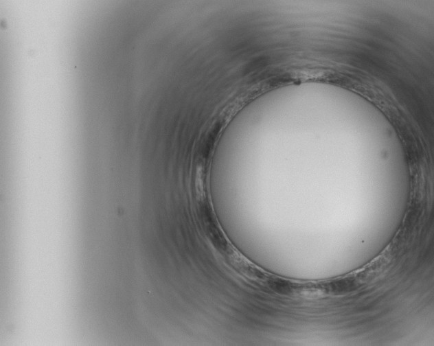 X0000066520598200603170952