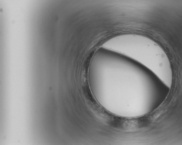 X0000066520599200603170952