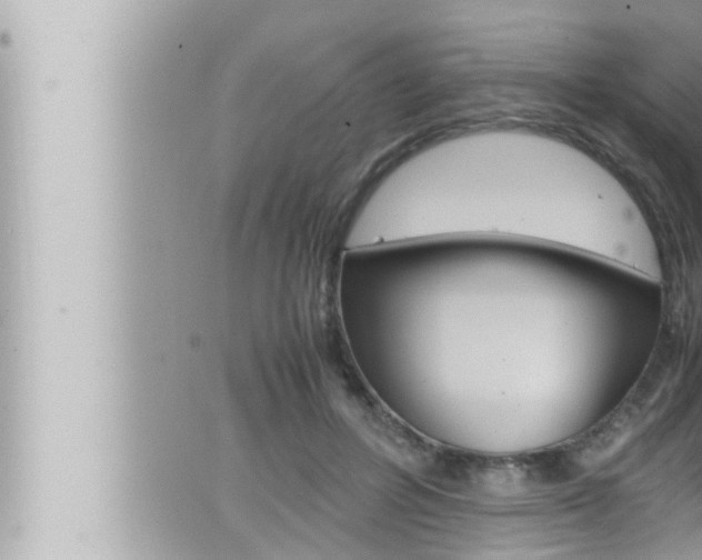 X0000066520600200603170952