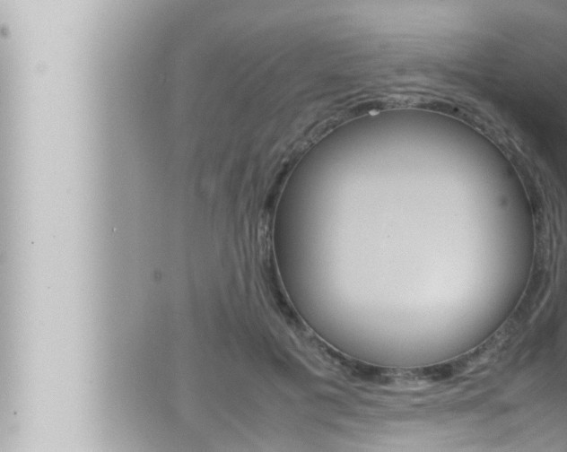 X0000066520601200603170952