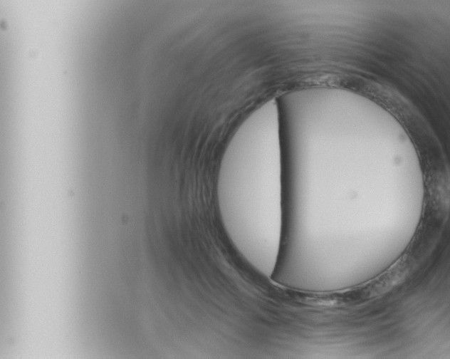 X0000066520602200603170952