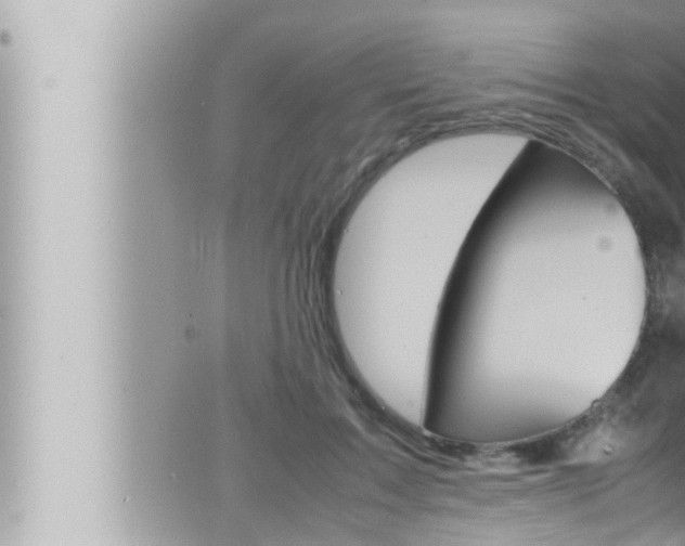 X0000066520603200603170952