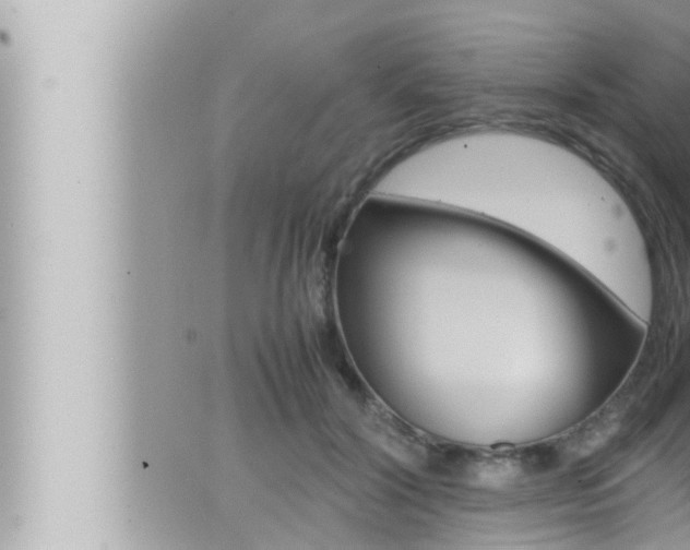 X0000066520604200603170952