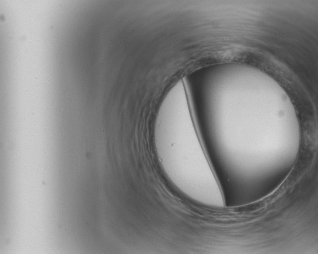 X0000066520605200603170952