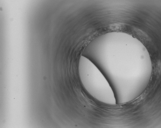 X0000066520606200603170952