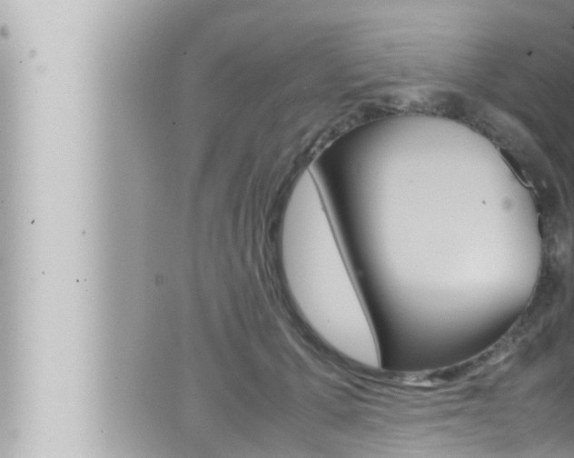 X0000066520607200603170952