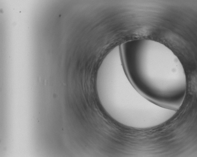 X0000066520608200603170952