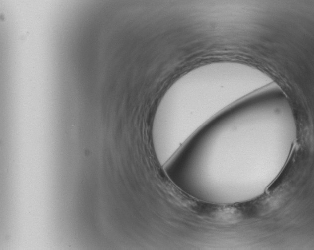 X0000066520609200603170952