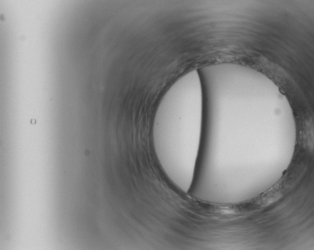 X0000066520610200603170952