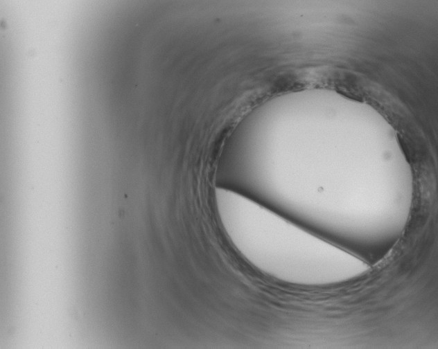 X0000066520611200603170952