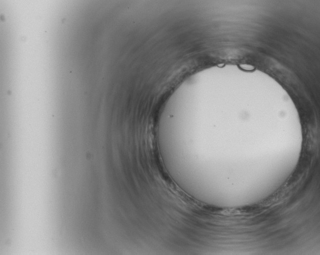 X0000066520612200603170952