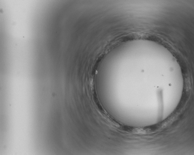 X0000066520613200603170952