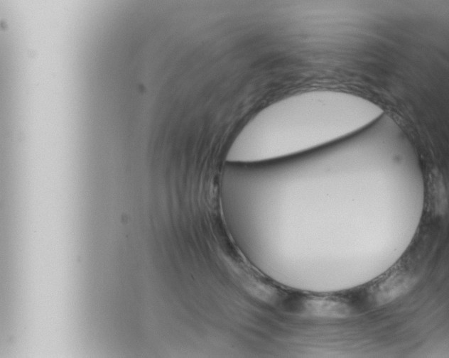 X0000066520614200603170952