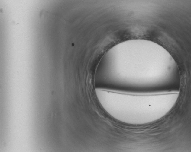 X0000066520615200603170952