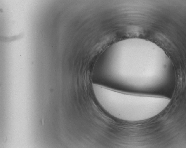 X0000066520616200603170952