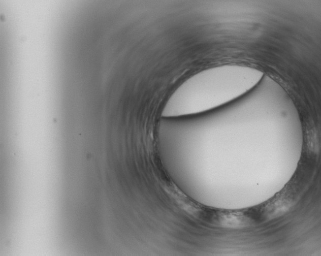 X0000066520618200603170952