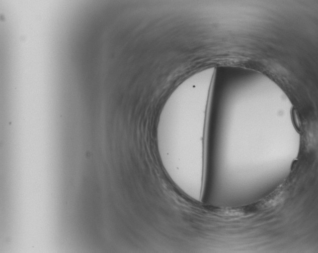 X0000066520619200603170952