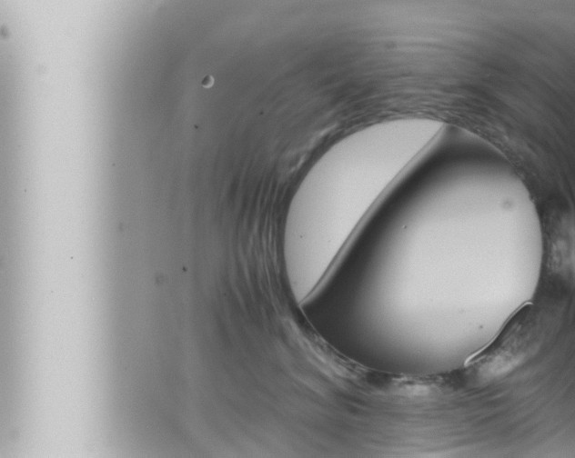 X0000066520620200603170952